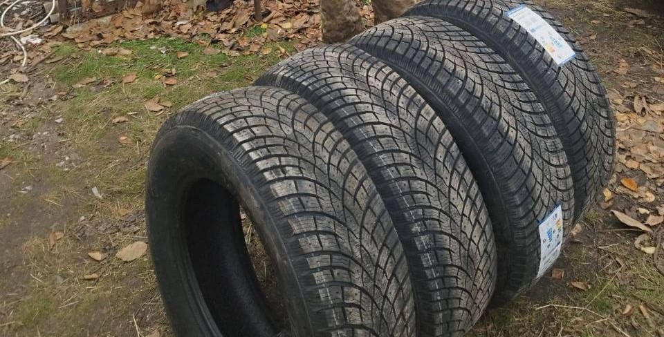 Report: Collection “Winter Tires for the Vehicles”